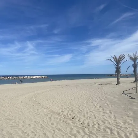 Villa Avec Parking Et Clim - 6 Pers. - Fr-1-81-755 Le Barcarès